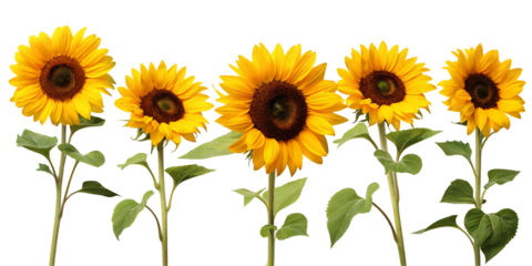 A completely black image with no visible content or discernible features in the entire frame view area