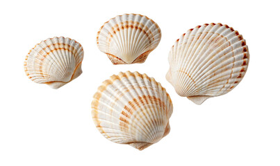 A completely black image showing only darkness with no visible shapes or objects to be identified here