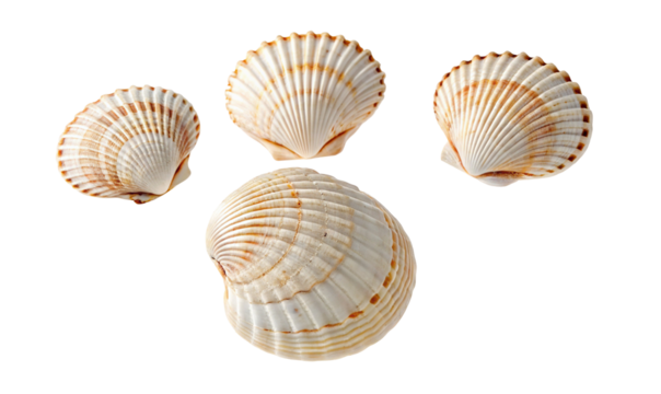 A completely black image with no visible objects or shapes present in the entire frame of the picture