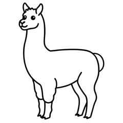 Fototapeta premium alpaca-on-white-background-- (1).svg