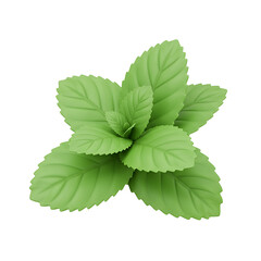 Vibrant Green Mint Leaves: A Fresh and Aromatic 3D Render of a Sprig of Peppermint