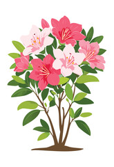 Colorful Azalea Bush Blooming Illustration