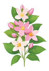 Obraz premium Beautiful Pink Blossoms Floral Illustration