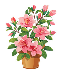 Potted Pink Azalea Blooming Illustration