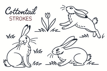 Cottontail Strokes: A Line Art Collection