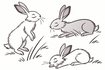 Hare & Line: A Hand-Drawn Rabbit Collection