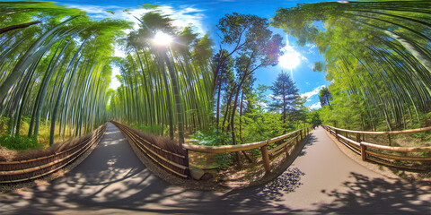 Bamboo forest path exploration nature reserve 360-degree view serenity