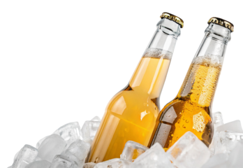 Two beer bottles chilled in ice cubes against a black background perfect for a refreshing drink advert