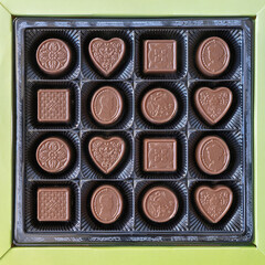 A set of milk chocolate with hazelnut filling is arranged in a box.