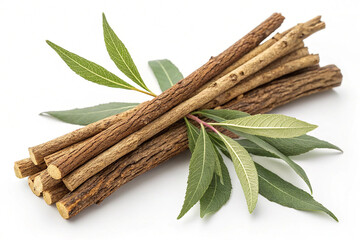 Willow bark medical herb isolated on transparent background