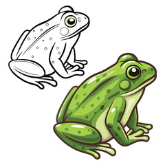 vector green frog on white background