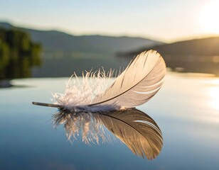 Feather reflecting on tranquil water