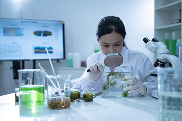 A young scientist in a laboratory examining aquatic plants through a magnifying glass focusing on research related to health food clean energy sustainability and green technology