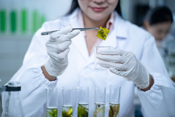 In the green laboratory, science and chemistry merge as biology experts conduct research, test each...