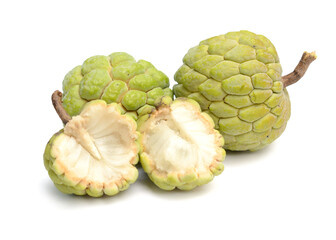 Sugar-apple on branch