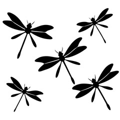 Fototapeta premium vector illustration of a flower