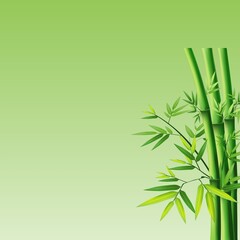 Obraz premium Green Bamboo with Leaves on Gradient Background. 