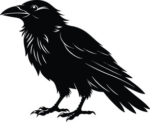 Raven Silhouette Vector, Raven Mysterious Bird