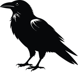 Raven Silhouette Vector, Raven Mysterious Bird