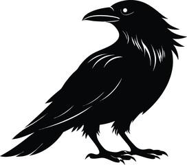 Raven Silhouette Vector, Raven Mysterious Bird