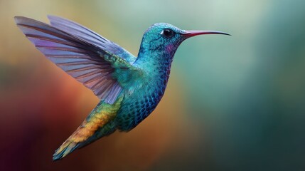 Colorful hummingbird in flight