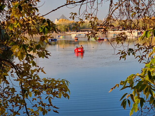 Close Up Autumn Leaves and Multiple Pedal Boats on City Park Lake