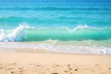 Footprints in the sand of a beach next to the ocean