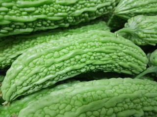 Bitter melon vegetables on isolated full background. Healthy nutritional raw food bitter melon vegetable. Healthy nutrition, vitamins.