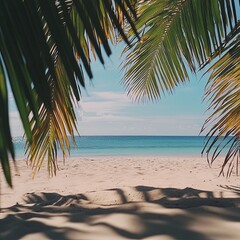 Naklejka premium clear sky and some coconut leaves on the beach