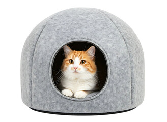 cat felt house pet bed isolated on transparent background