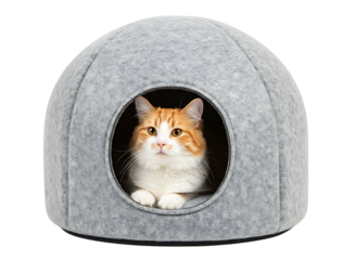 cat felt house pet bed isolated on transparent background