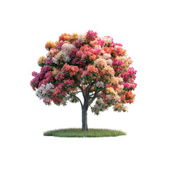 Beautiful flowering tree with grass and flowers in a garden isolated on a transparent background, in a PNG format