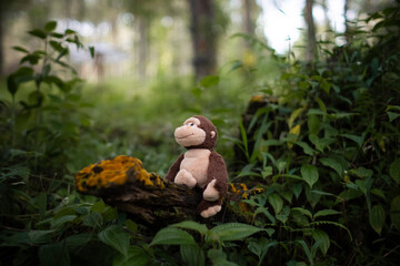 A plush monkey toy sits on a mossy tree branch surrounded by lush forest vegetation. A playful and whimsical moment in nature captured with soft natural light and shallow depth of field