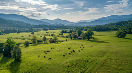 Serene countryside valley aerial view cattle grazing green fields mountain background
