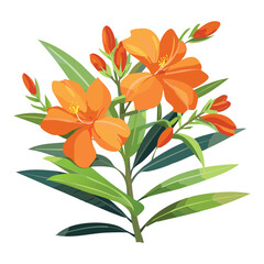 Beautiful Orange Flowers Foliage Illustration