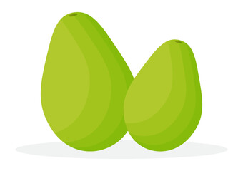 whole papaya print cartoon fruit vitamin illustration print clipart