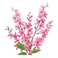 Delicate Pink Oleander Branch Illustration