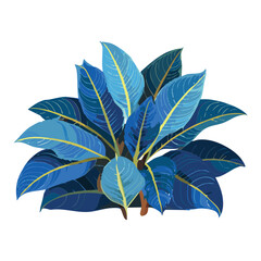 Bold Blue Green Foliage Plant