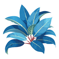 Striking Blue Green Foliage Plant