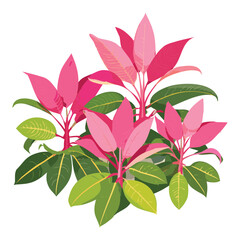 Beautiful Pink Foliage Plant Illustration