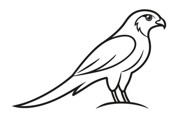 Obraz premium Kestrel Bird Line Drawing Outline Vector