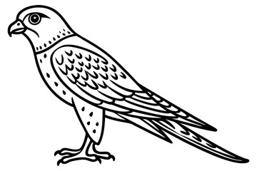 Obraz premium Detailed Kestrel Bird Line Drawing Vector