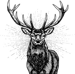 Obraz premium deer, deer silhouette, deer antlers, black and white deer, minimalist deer illustration 