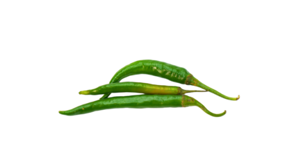 Fresh Green Chilies Isolated on Transparent Background. PNG File