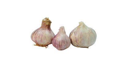 Garlic Bulb and Clove Isolated on Transparent Background. PNG File