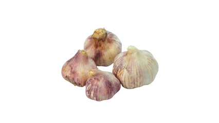 Garlic Bulb and Clove Isolated on Transparent Background. PNG File