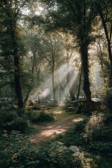 Sunlit Forest Path With Camping Spots