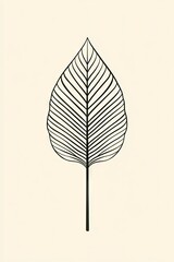 Elegant, black outline of a large leaf design.