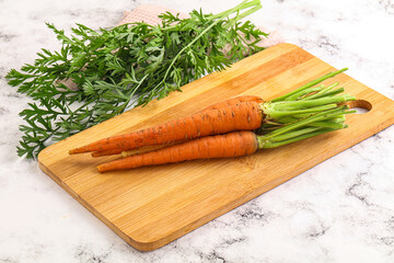 Toung fresh ripe orange carrot