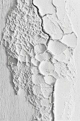Close-up view of weathered white paint surface with cracks and texture.
